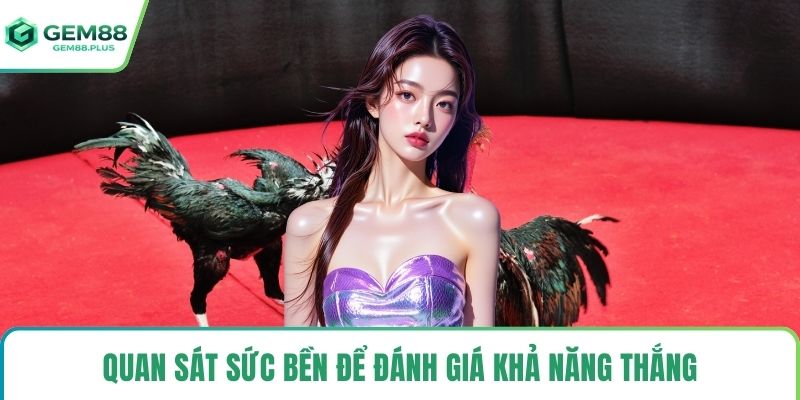 Quan sát sức bền để đánh giá khả năng thắng
