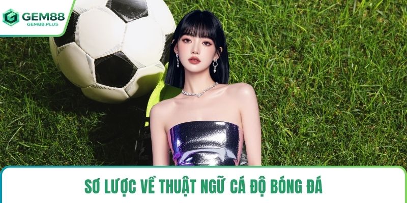Sơ lược về thuật ngữ cá độ bóng đá
